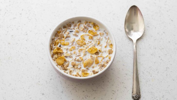 Close-up of prepared cereal