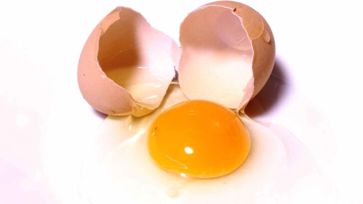 Assorted eggs on a serving surface