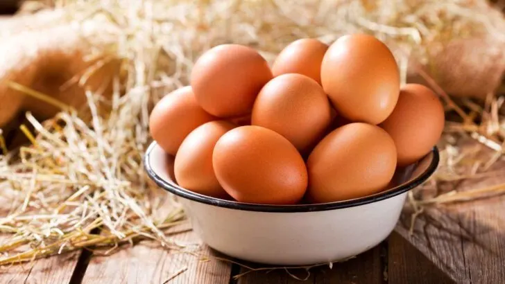 Close-up of freshly prepared egg
