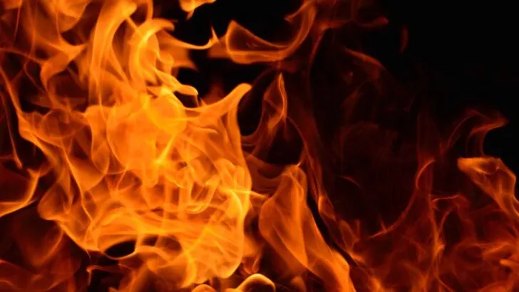 A close-up of curling orange fire