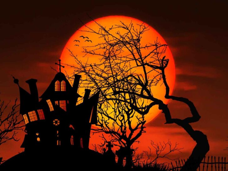 315 Haunted House Puns That Raise the Roof
