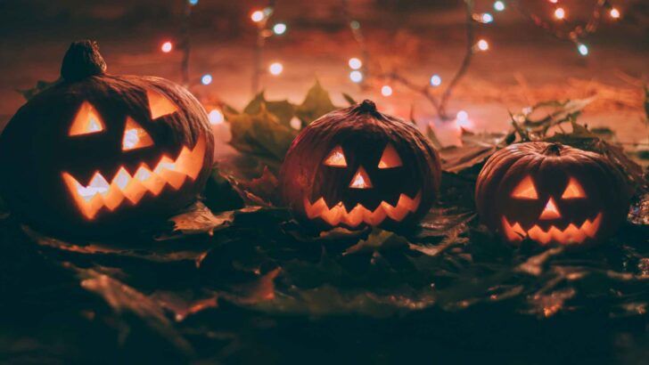 Glowing jack-o-lanterns arranged for Halloween
