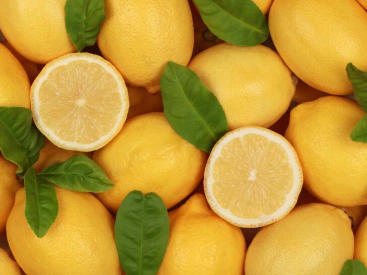 lemon puns