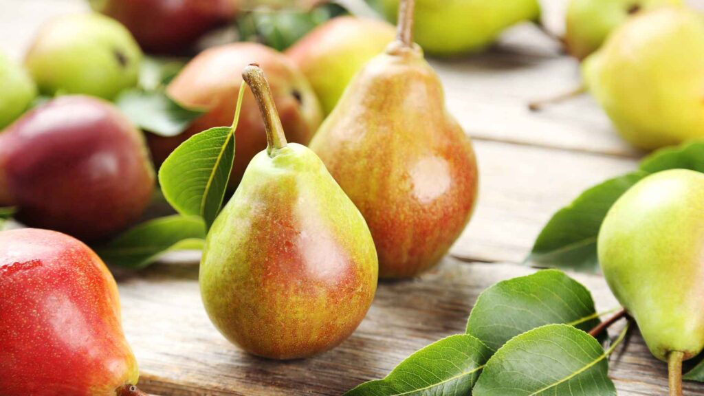 pear puns