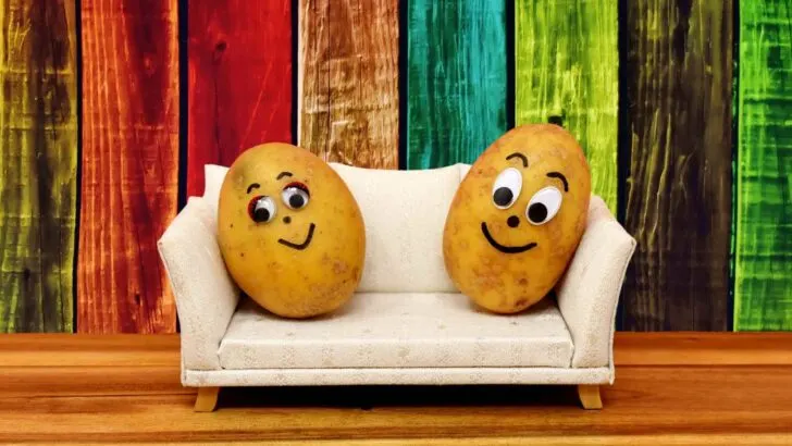 Close-up of freshly prepared potato