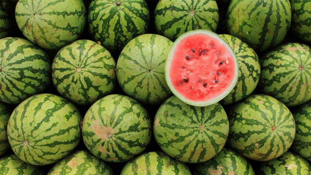 watermelon puns