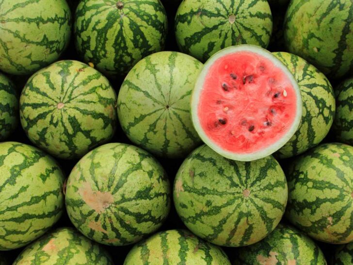 watermelon puns