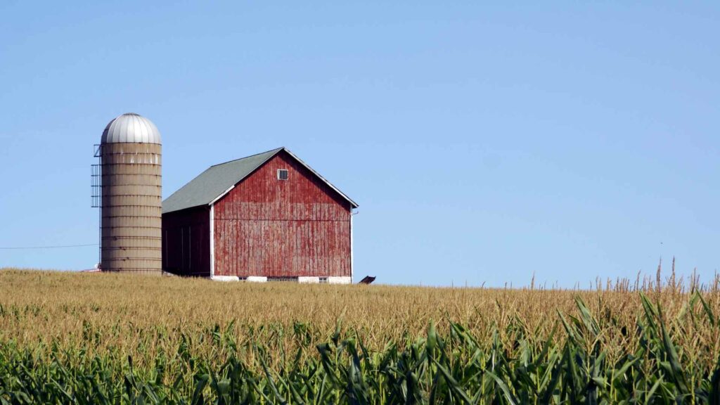 farm puns