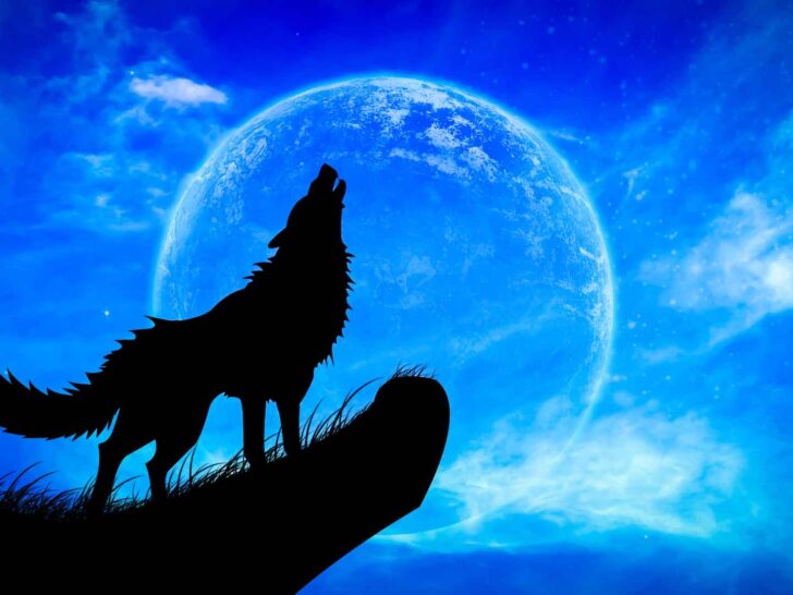 315 Werewolf Puns That Will Make You Howl
