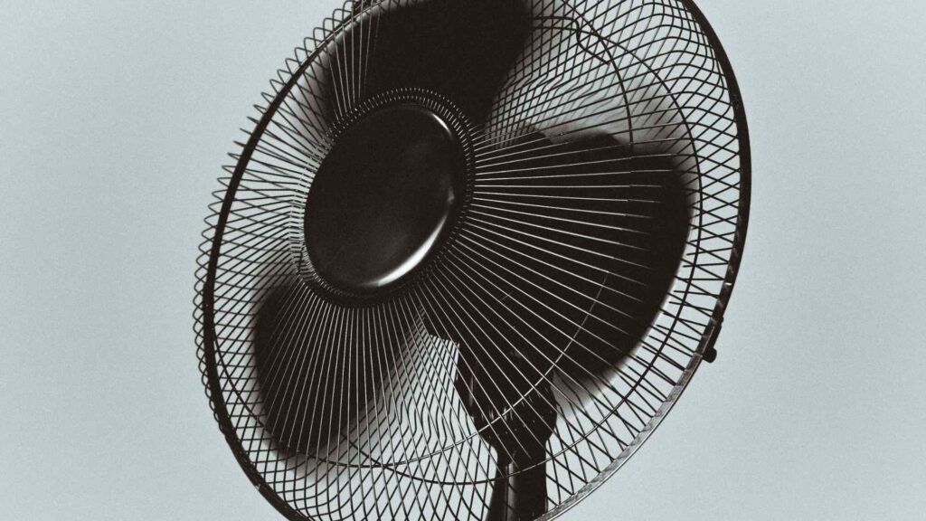 Fan