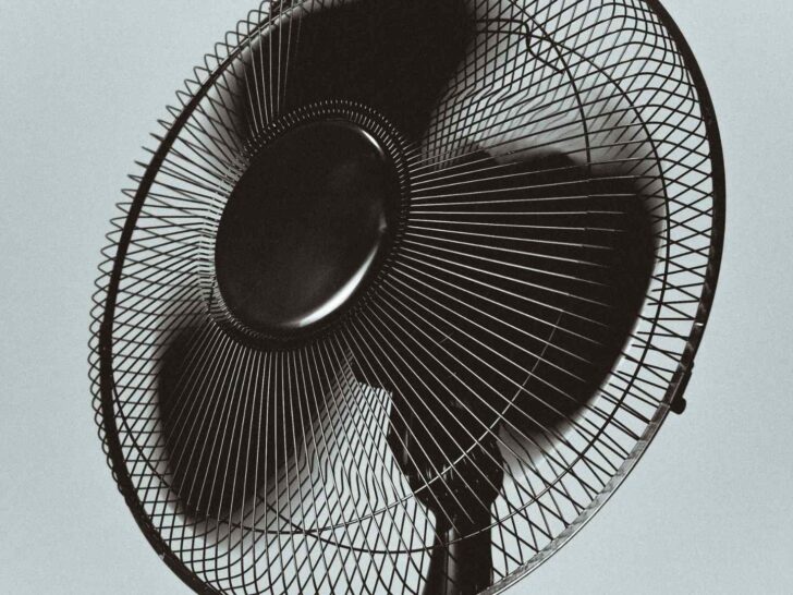 Fan