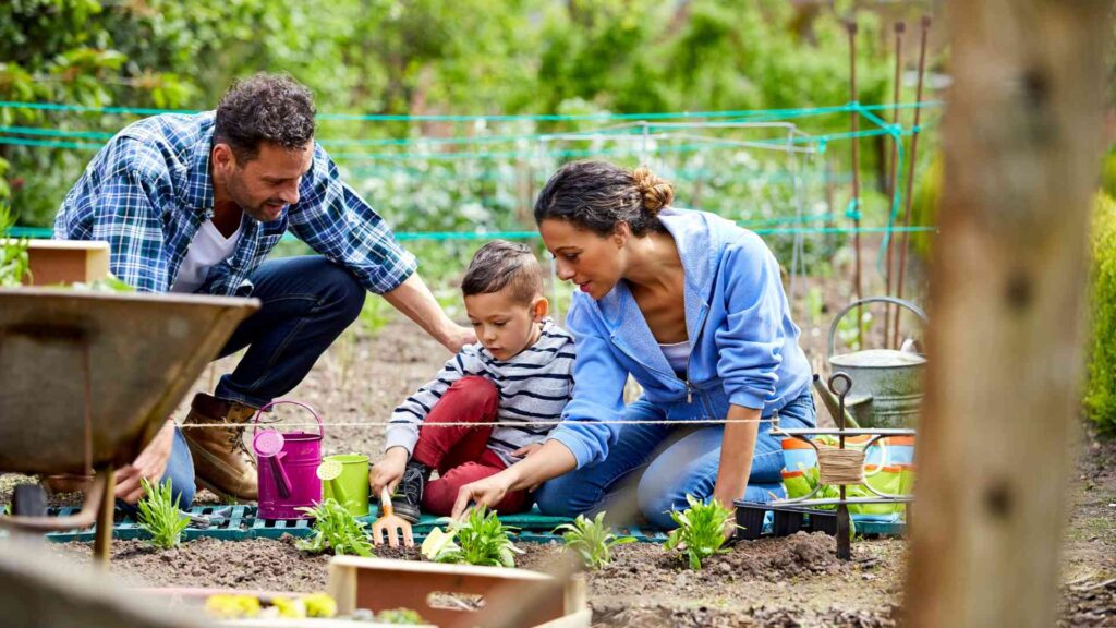 Gardening