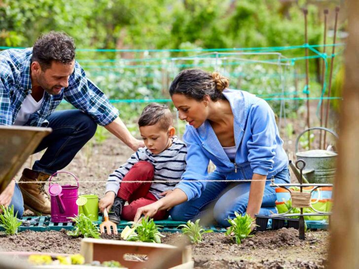 Gardening