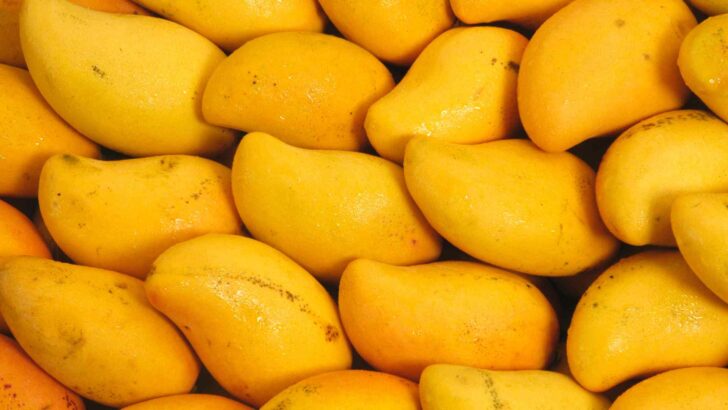 Mango pieces with visible garnishes