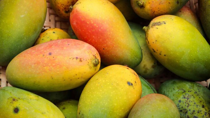 Fresh mango displayed with natural texture