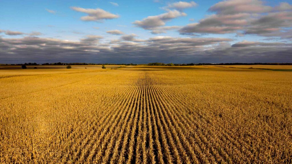 Nebraska