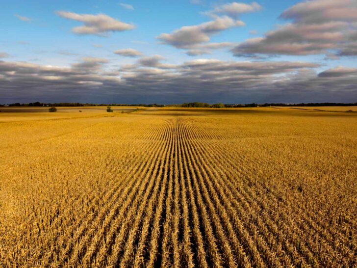 Nebraska