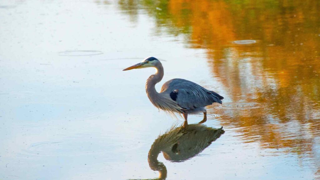 South Carolina