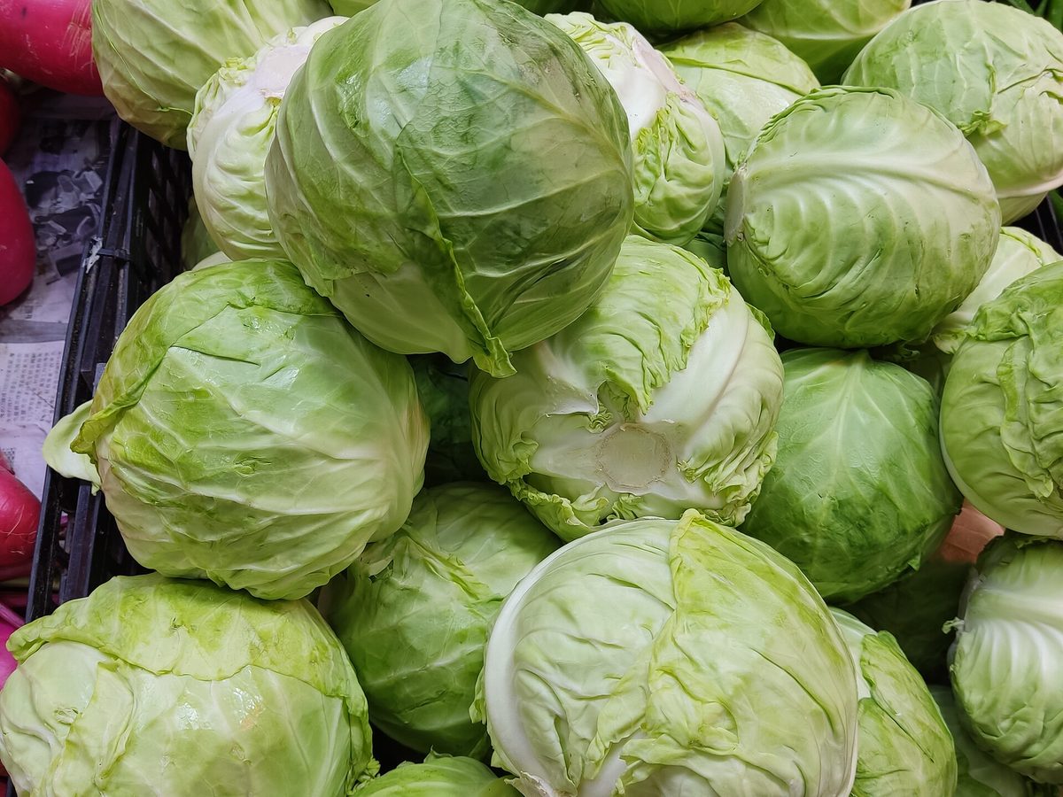 Green cabbages displayed at a produce market
